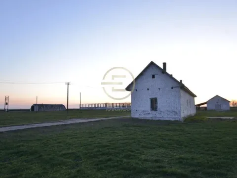 Prodaja, plac, 980m², Vrbas, Novi Sad - image 12