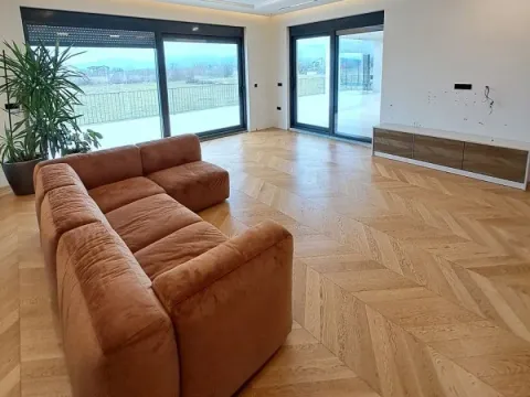 Rent, house, 350m², Donji Kokoti, Podgorica - image 3