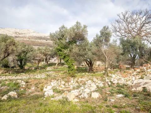 Prodaja, plac, 1740m², Reževići, Budva - image 4