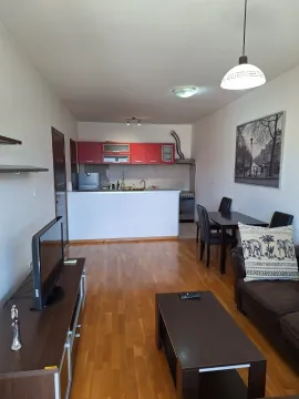 Svijetao dnevni boravak sa kuhinjom i trpezarijom u sklopu jedne prostorije. - image 3