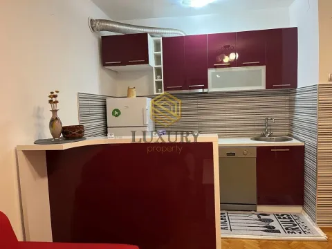 Rent, one bedroom apartment, 49m², Drač, Podgorica - image 7