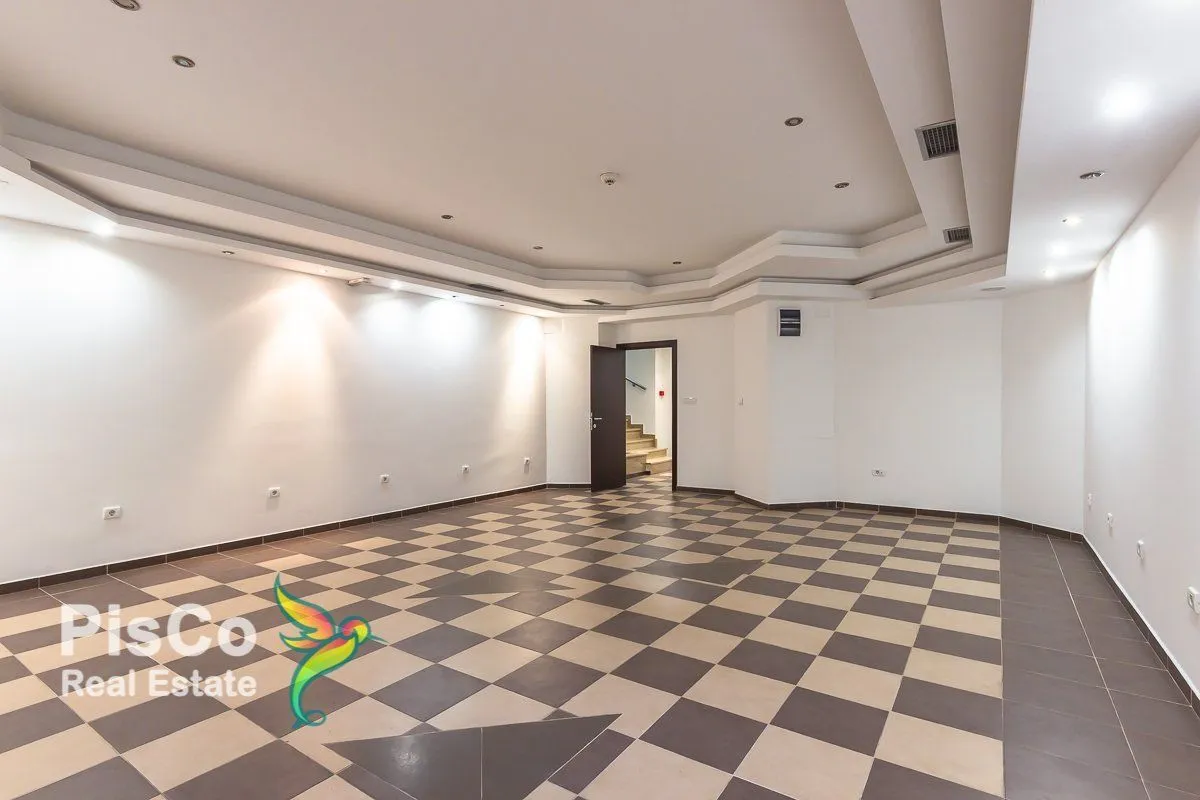 Izdavanje, poslovni prostor, 200m², Preko Morače, Podgorica