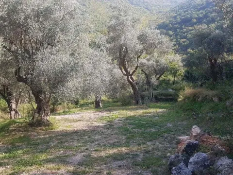 Zemljište in Bartula