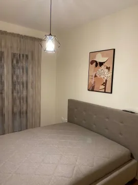 Rent, one bedroom apartment, 49m², Central Point, Podgorica - image 5