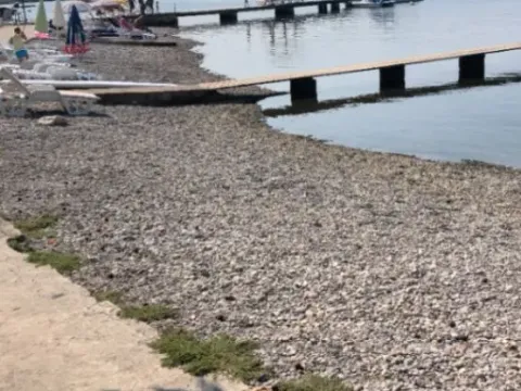 Izdavanje, jednosoban stan, 84m², Bonići, Tivat - image 2