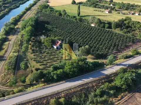 Sale, land lot, 190m², Kikinda, Srbija