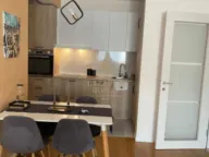 Izdavanje, jednosoban stan, 53m², Central Point, Podgorica - image 4