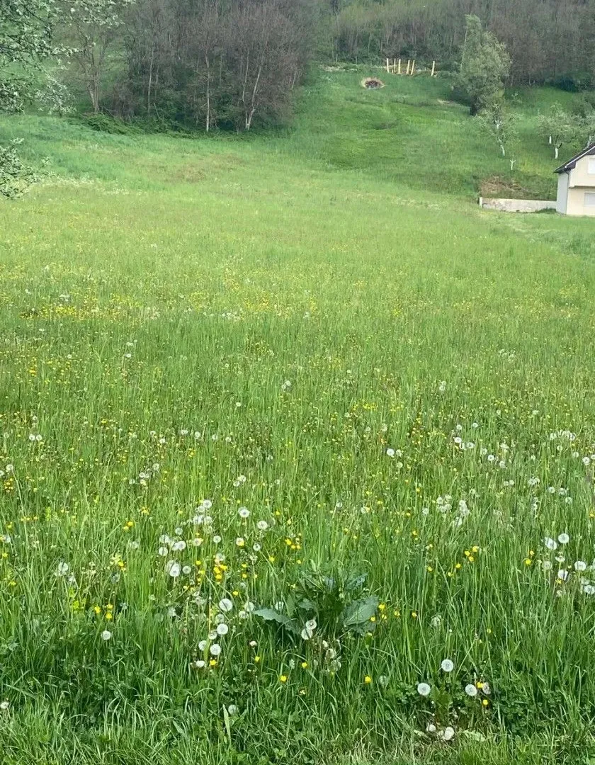 Prodaja, plac, 3900m², Rasovo, Bijelo Polje