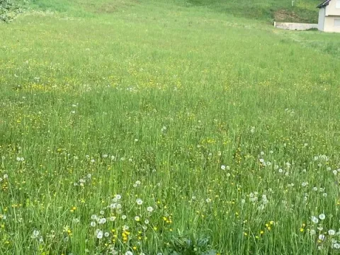 Prodaja, plac, 3900m², Rasovo, Bijelo Polje - image 3