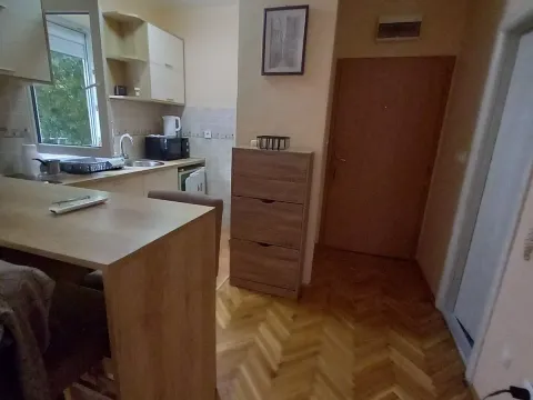 Izdavanje, garsonjera, 29m², Podkošljun, Budva - image 7