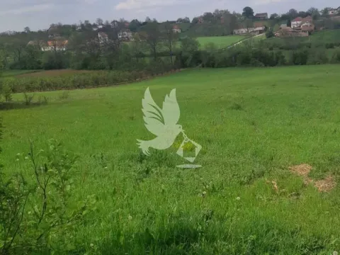 Prodaja, plac, 12000m², Koraćica, Mladenovac - image 3