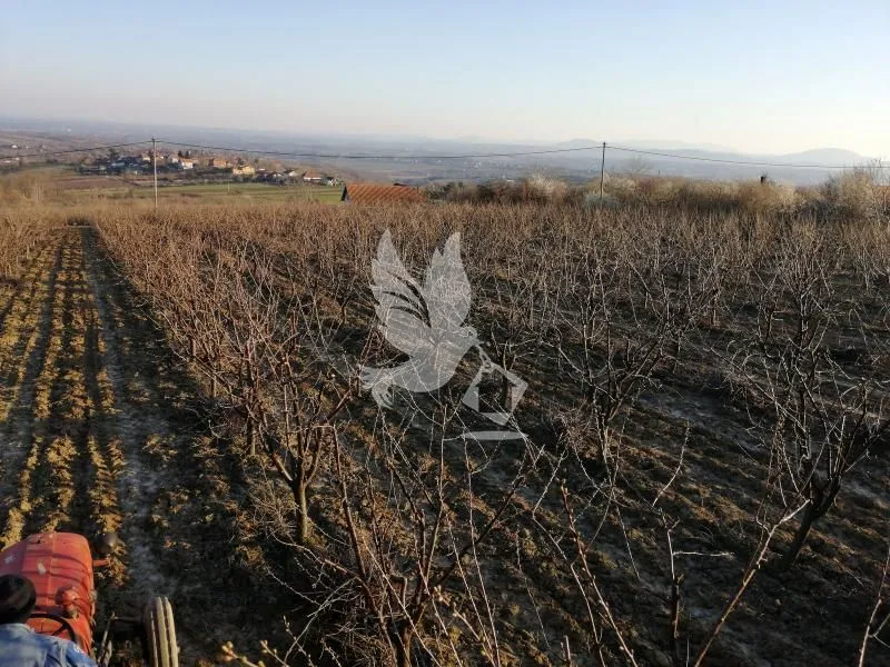 Prodaja, plac, 13700m², Koraćica, Mladenovac