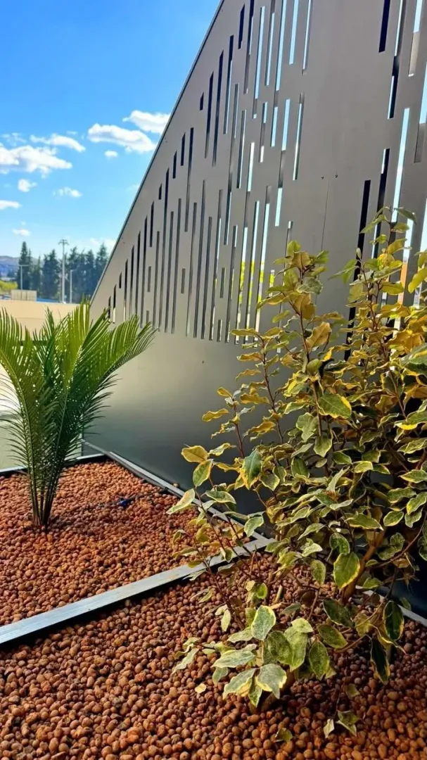 Terrace with decorative plants and a modern fence.