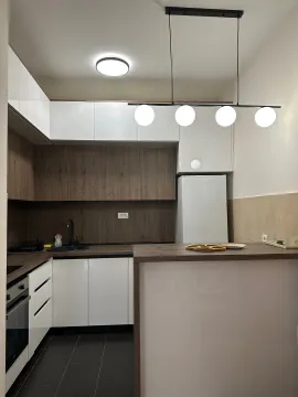 Stan-na-dan, jednosoban stan, 43m², Zabjelo, Podgorica - image 9