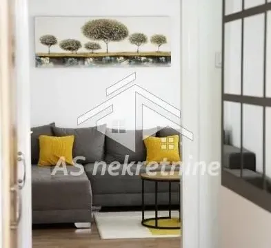Rent, one bedroom apartment, 50m², Novi Beograd Blok 61, Novi Beograd Sve Podlokacije - image 7