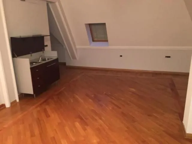 Izdavanje, stan, 300m², Autokomanda, Voždovac Sve Podlokacije