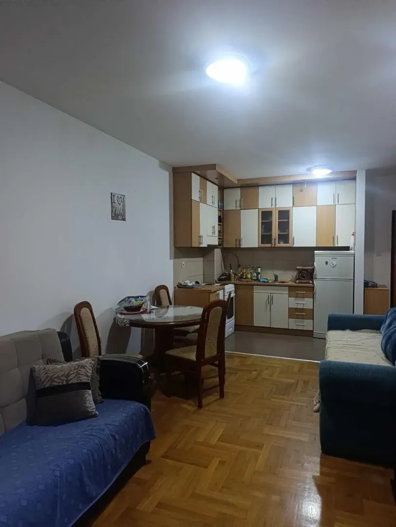 Dnevna soba sa trpezarijom i kuhinjom u pozadini.