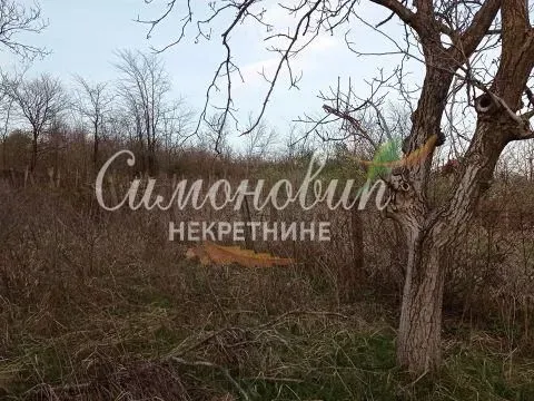 Sale, land lot, 2000m², Železnik, Beograd - image 3