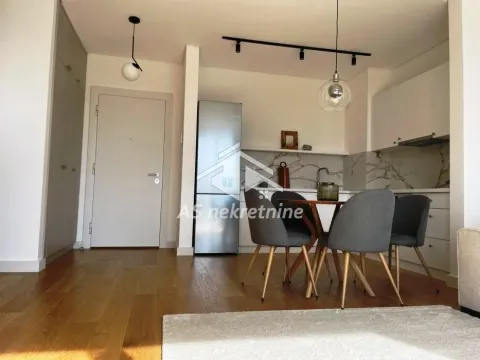 Izdavanje, dvosoban stan, 53m², Vračar Sve Podlokacije, Beograd - image 8