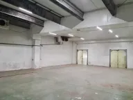 Izdavanje, poslovni prostor, 800m², Šimanovci, Pećinci - image 2