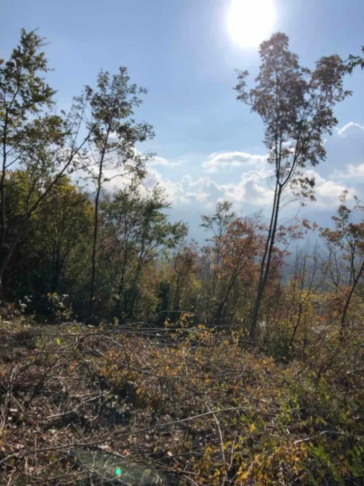 Prodaja, plac, 5525m², Virpazar, Bar