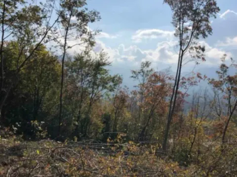 Sale, land lot, 5525m², Virpazar, Bar - image 5