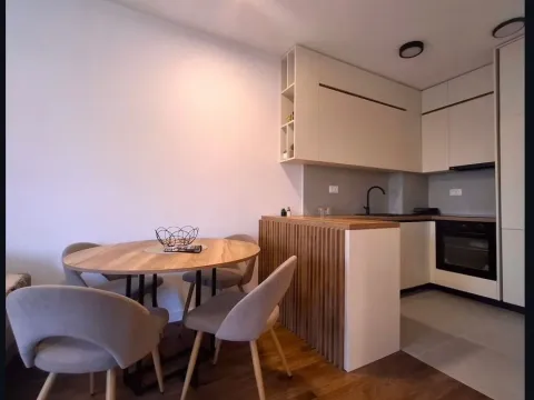 Izdavanje, jednosoban stan, 46m², Stari Aerodrom, Podgorica - image 3