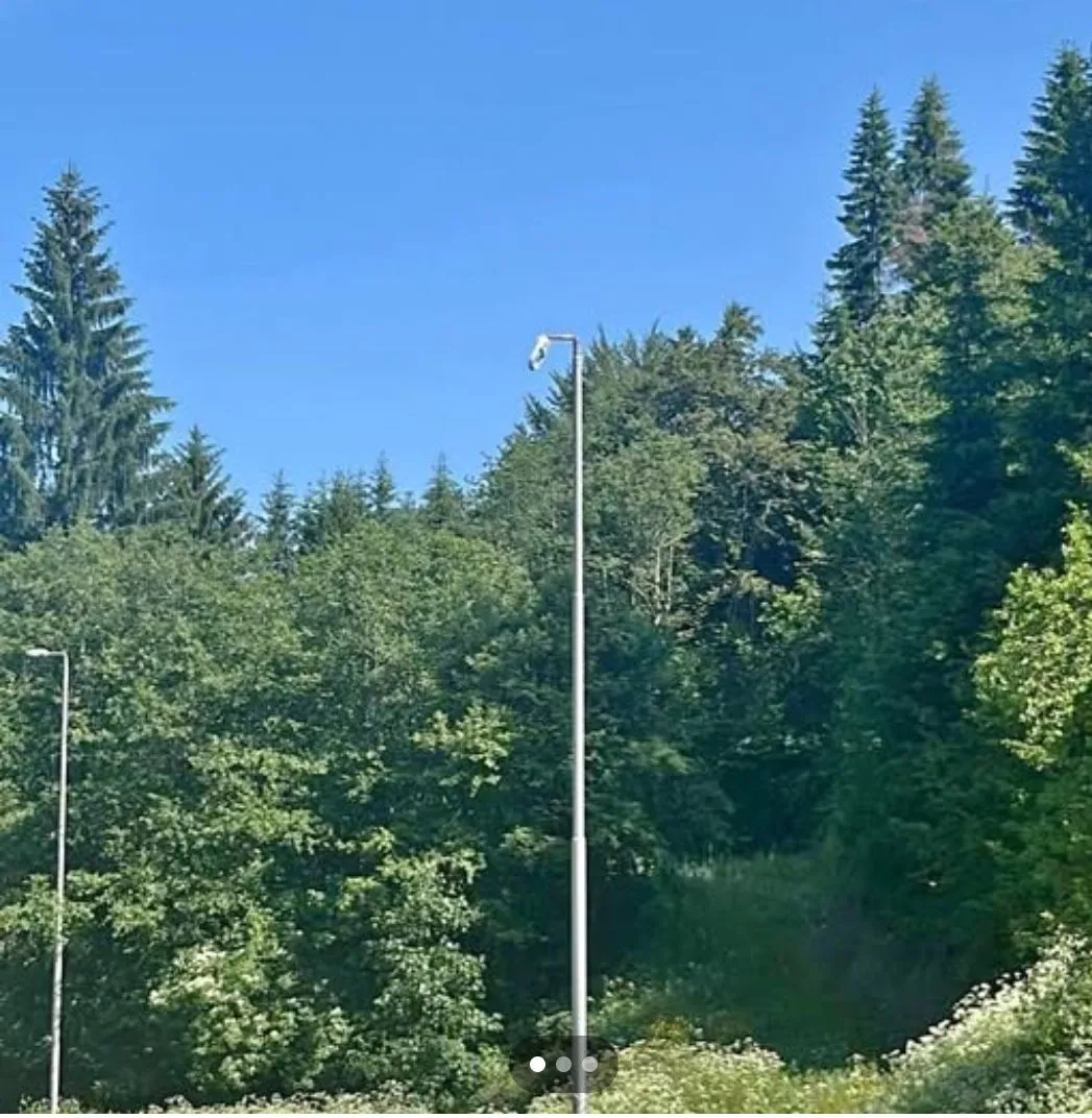 Prodaja, plac, 62500m², Kolašin, Crna Gora