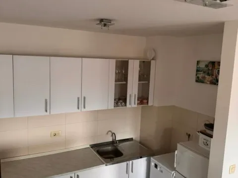 Izdavanje, jednosoban stan, 55m², Preko Morače, Podgorica - image 4