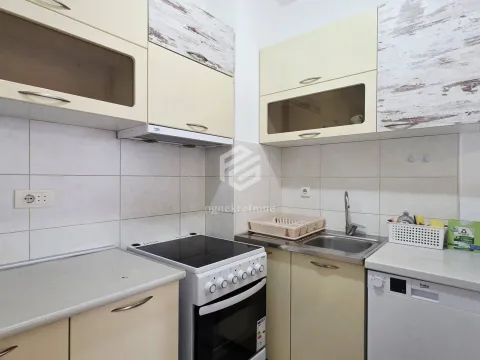 Izdavanje, jednosoban stan, 45m², Tuški Put, Podgorica - image 8