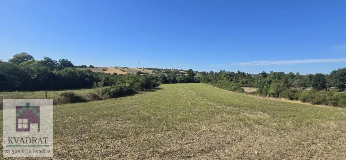 Pogled na prostrano zeleno zemljište i livadu sa niskim rastinjem u prirodi.
