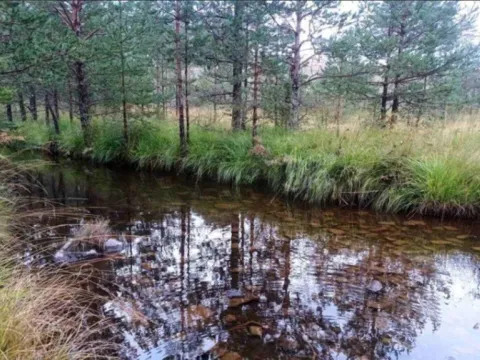 Sale, land lot, 7441m², Zlatibor, Srbija - image 9