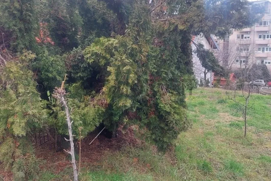 Prodaja, plac, 433m², Višnjička Banja, Palilula Sve Podlokacije