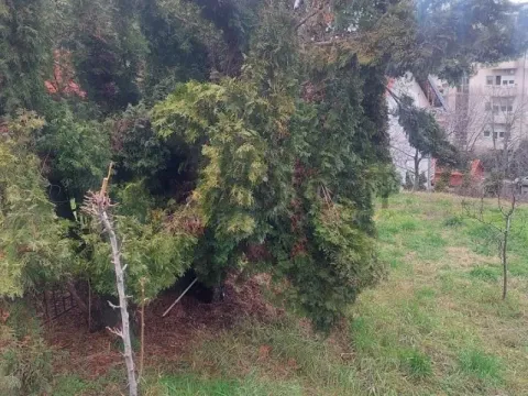 Prodaja, plac, 433m², Višnjička Banja, Palilula Sve Podlokacije - image 2