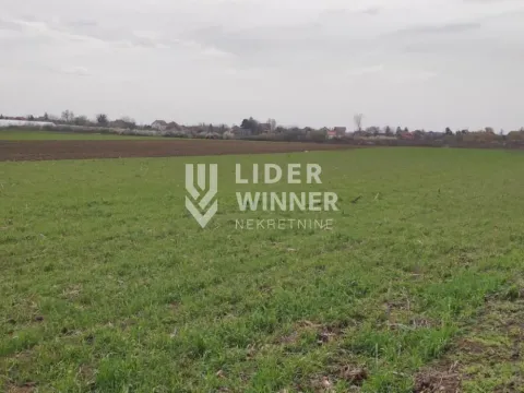 Prodaja, plac, 32930m², Jakovo, Surčin - image 3