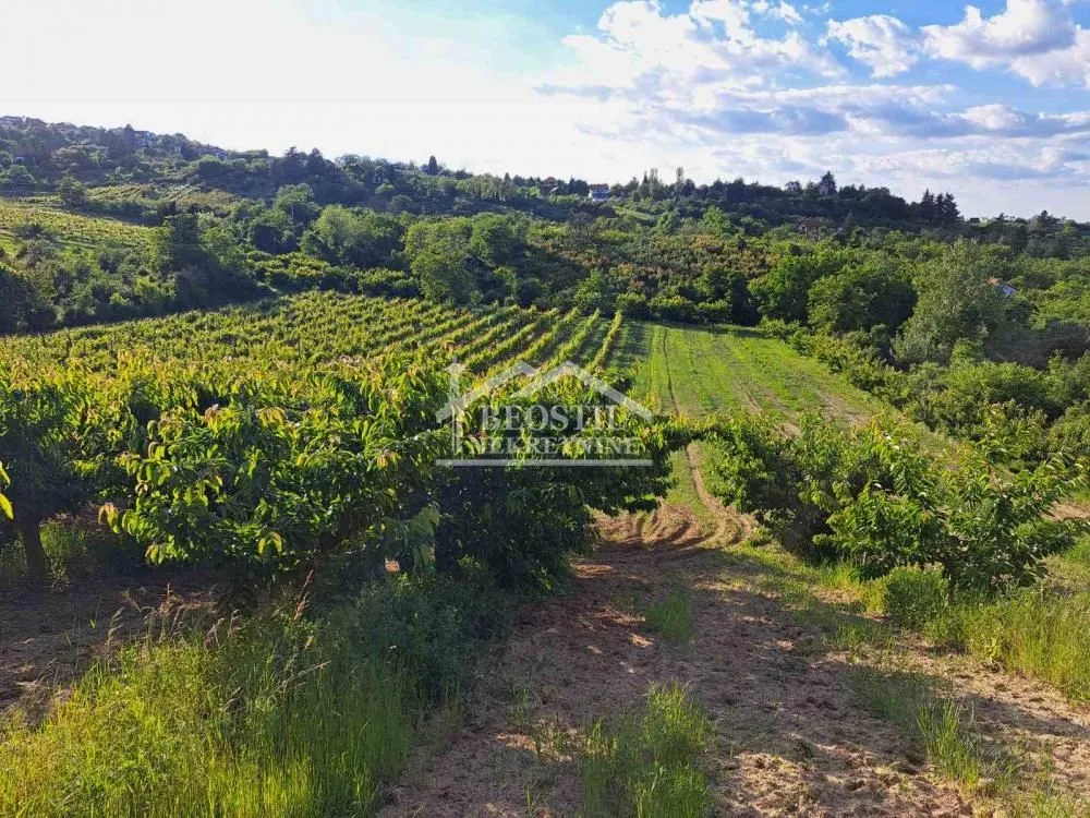 Prodaja, plac, 9563m², Grocka, Beograd