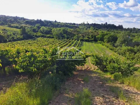 Prodaja, plac, 9563m², Grocka, Beograd - image 8