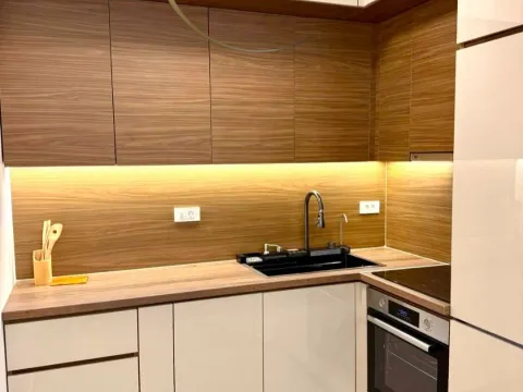Rent, one bedroom apartment, 47m², New City, Podgorica - image 2