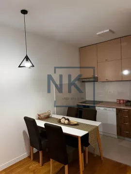 Prodaja, jednosoban stan, 49m², Central Point, Podgorica - image 4