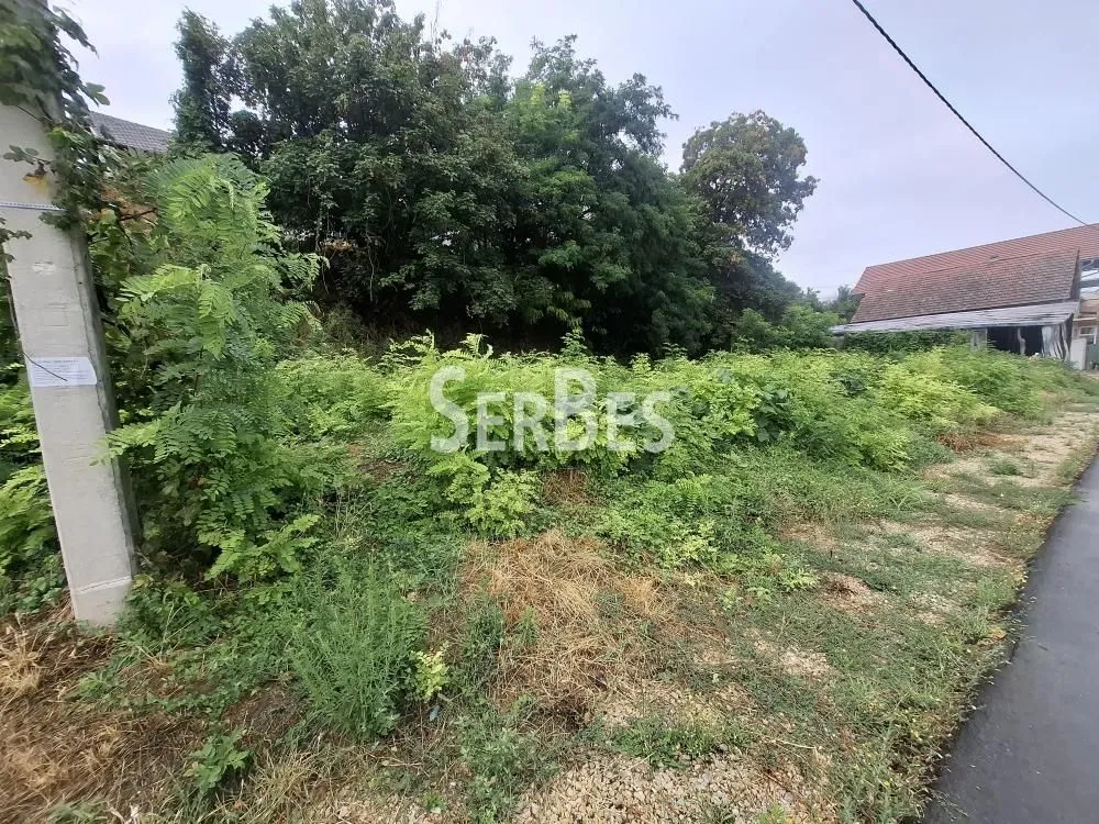 Prodaja, plac, 591m², Sremski Karlovci, Novi Sad