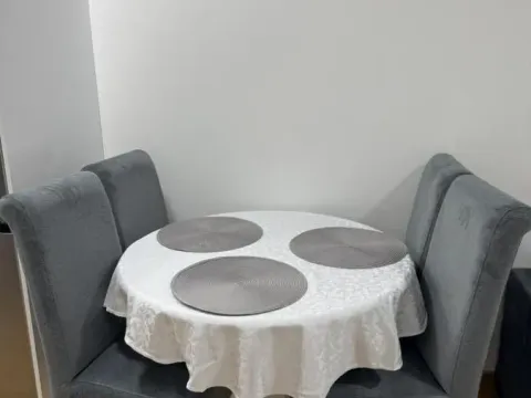 Izdavanje, jednosoban stan, 32m², Adice, Novi Sad Sve Podlokacije - image 6