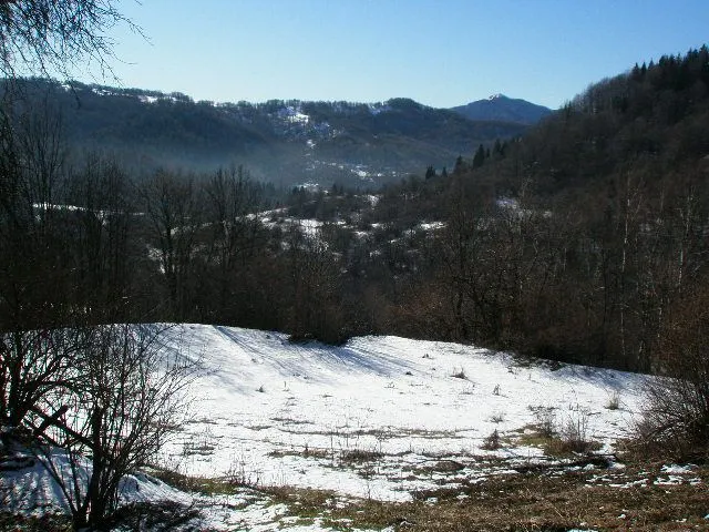 Prodaja, plac, 100000m², Kolašin, Crna Gora