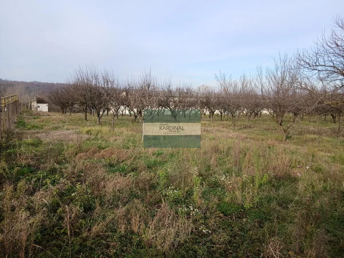 Sale, office space, 723m², Veliki Popović, Despotovac