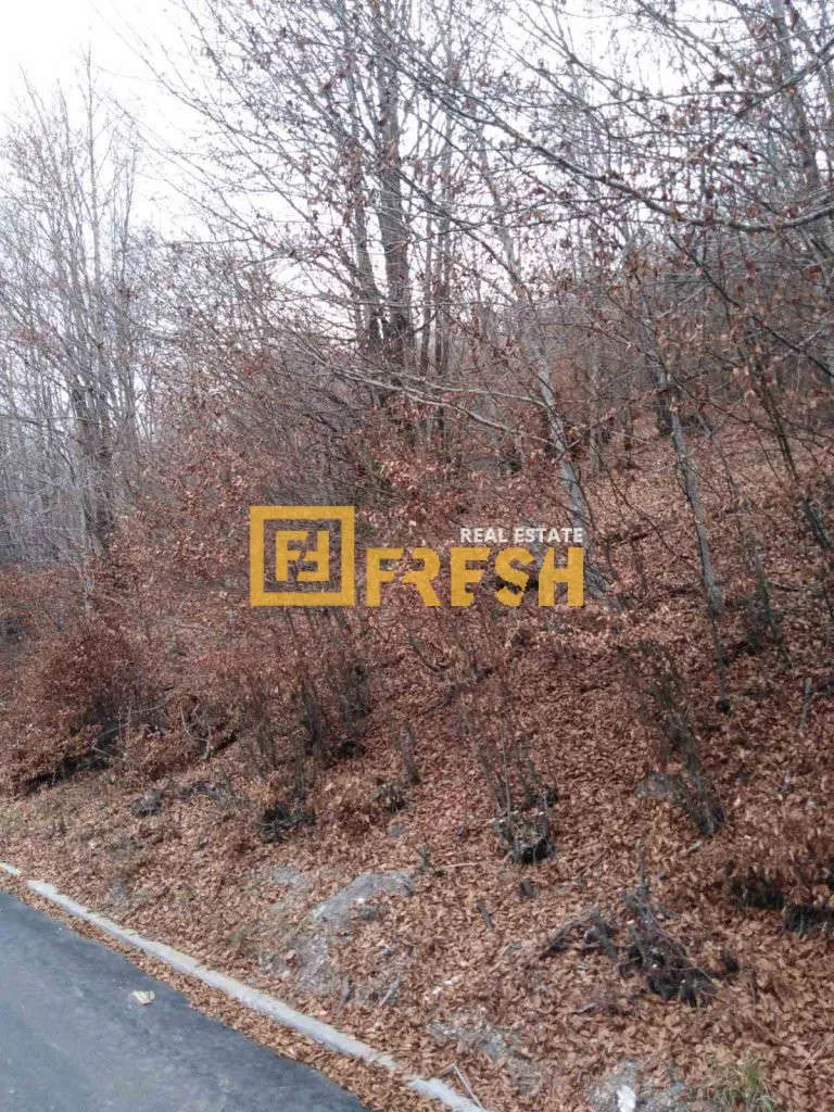Prodaja, plac, 500m², Ostalo, Podgorica