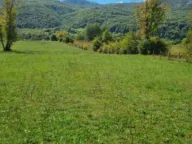 Prodaja, plac, 32000m², Donje Lipovo, Kolašin - image 3