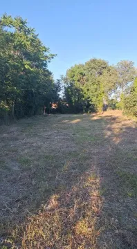 Prodaja, plac, 2500m², Zeta, Podgorica - image 2