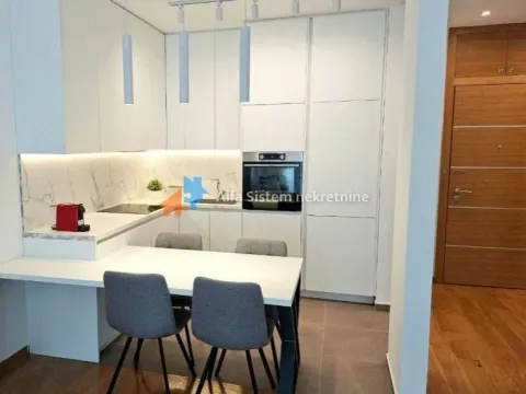 Izdavanje, dvosoban stan, 55m², Palilulska Pijaca, Palilula Sve Podlokacije - image 4