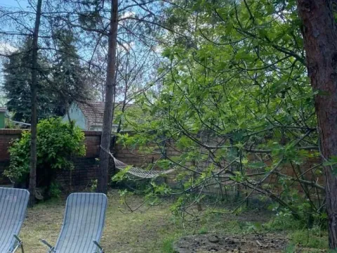 Sale, house, 155m², Rusko Selo, Kikinda - image 2