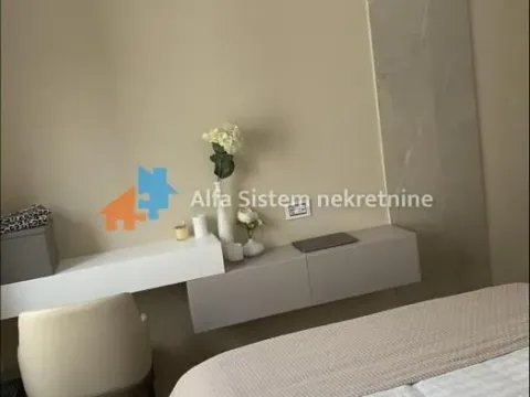 Izdavanje, dvosoban stan, 43m², Vračar Centar, Vračar Sve Podlokacije - image 21