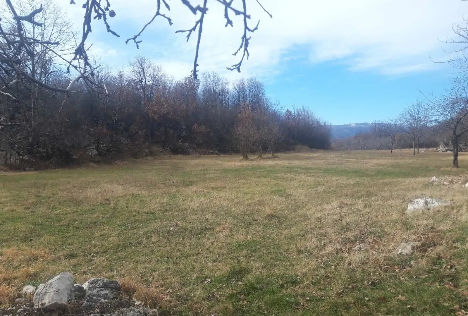 Prodaja, plac, 5000m², Danilovgrad, Crna Gora